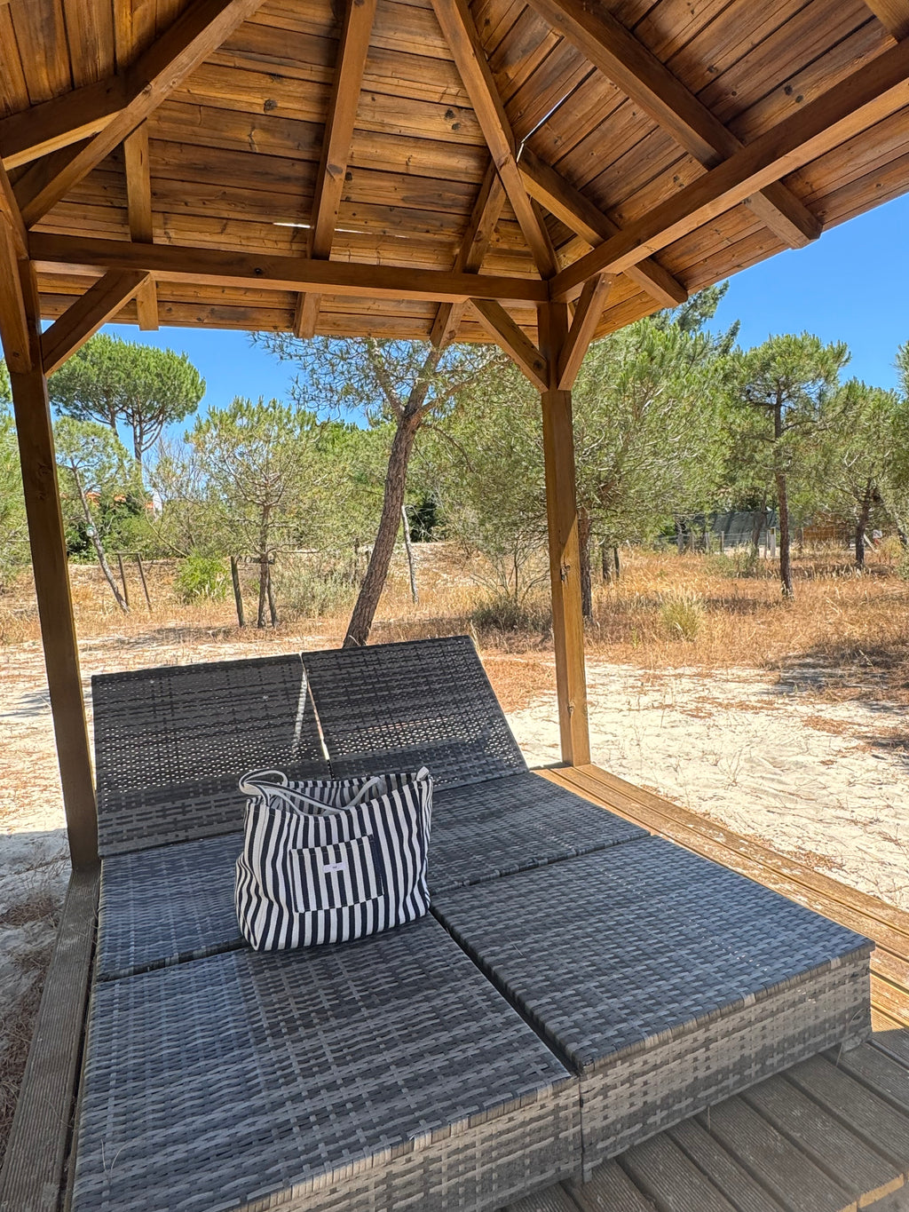 Abacaxi |bAGA
