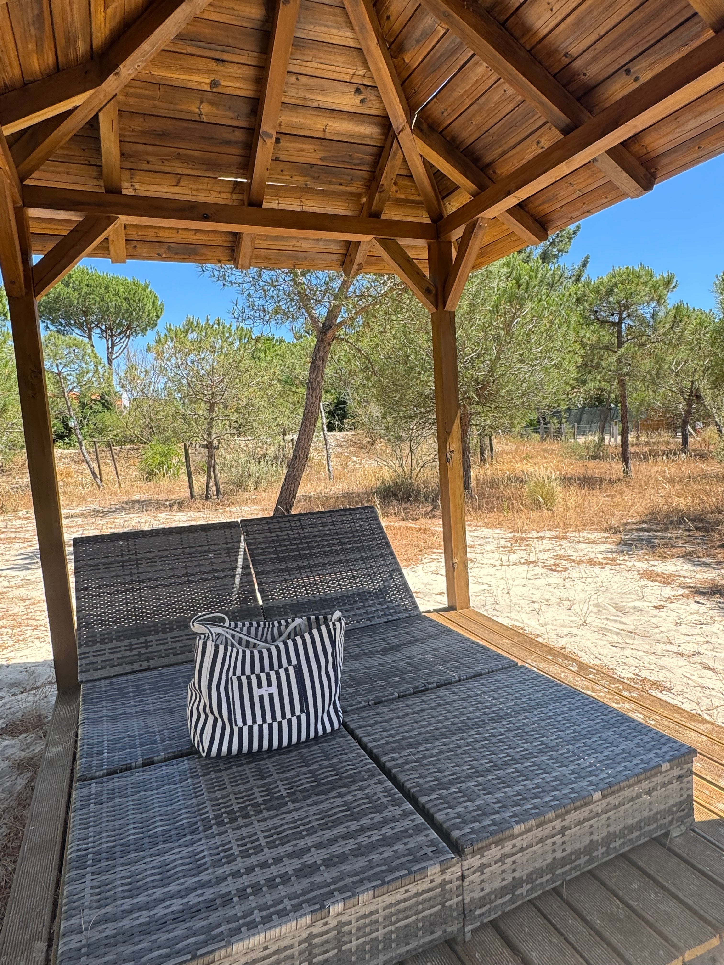 Abacaxi |bAGA